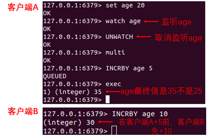 image-20250426181342721
